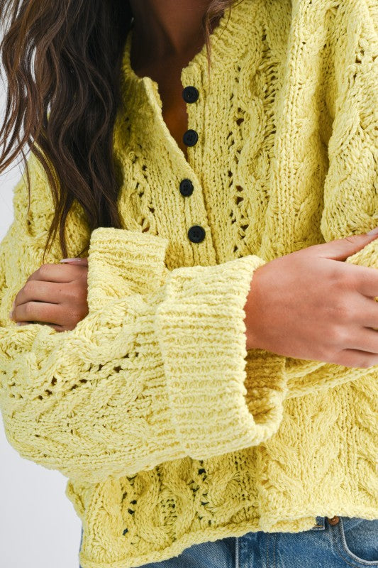 Aemi + Co Textured Cropped Henley Knit Sweater