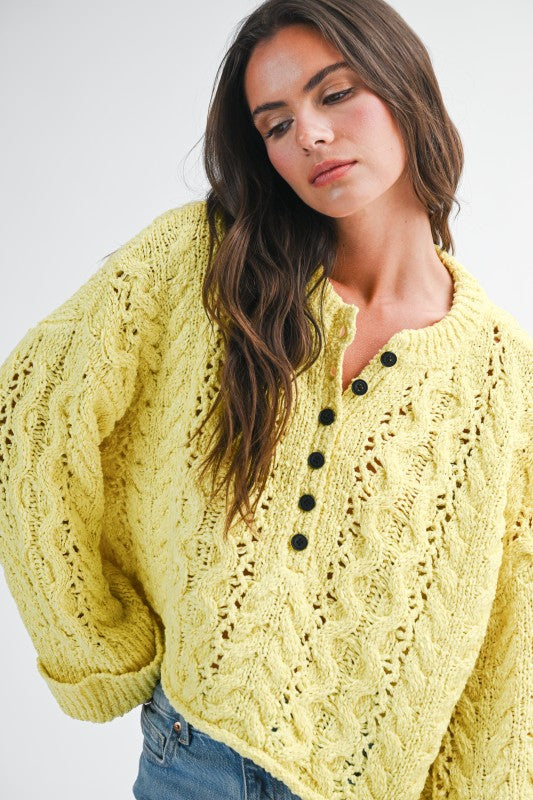 Aemi + Co Textured Cropped Henley Knit Sweater