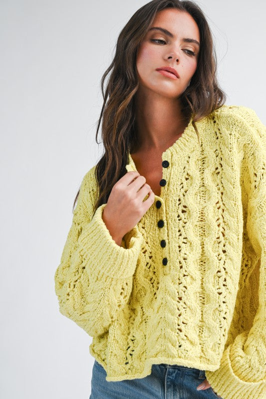 Aemi + Co Textured Cropped Henley Knit Sweater